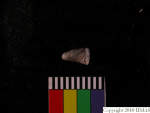 L_V23d8633 A16q849.1 U907 dM fg f320